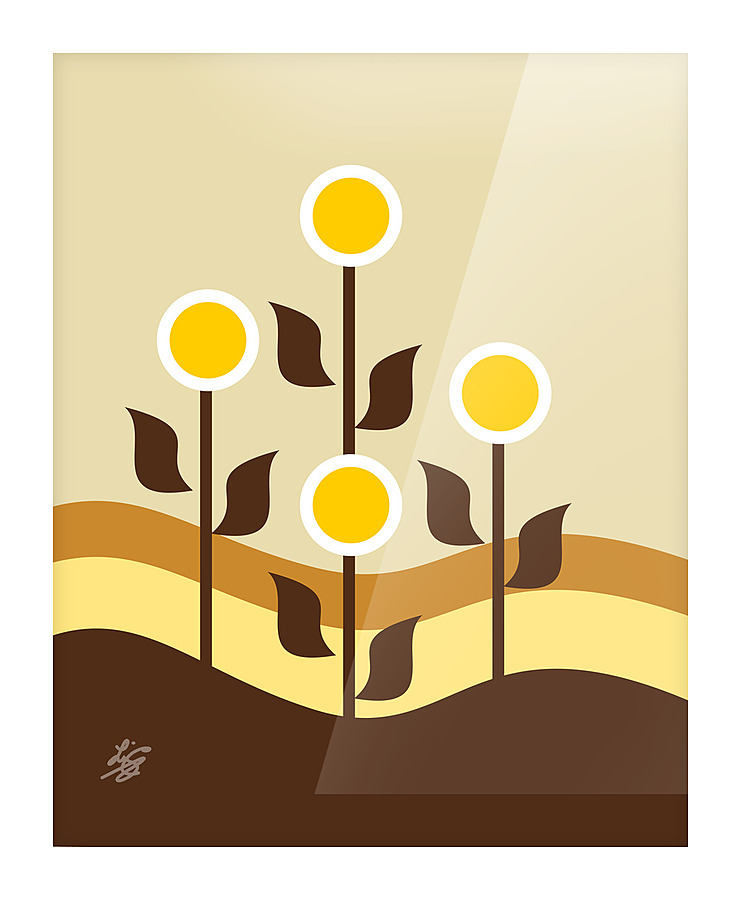 Abstract Flowers In Desert Sand Picture Frame print