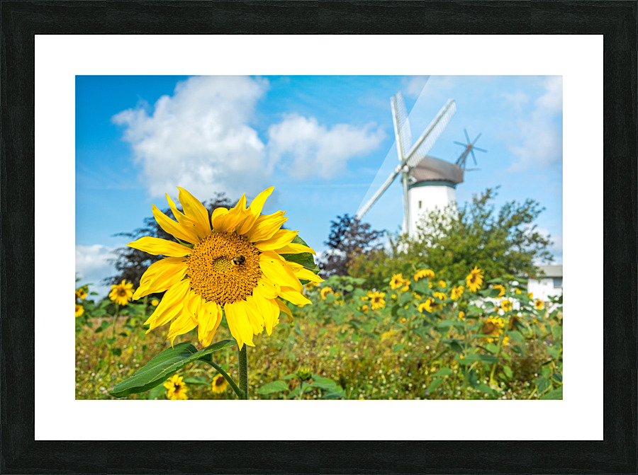 Windmill Garden Picture Frame print