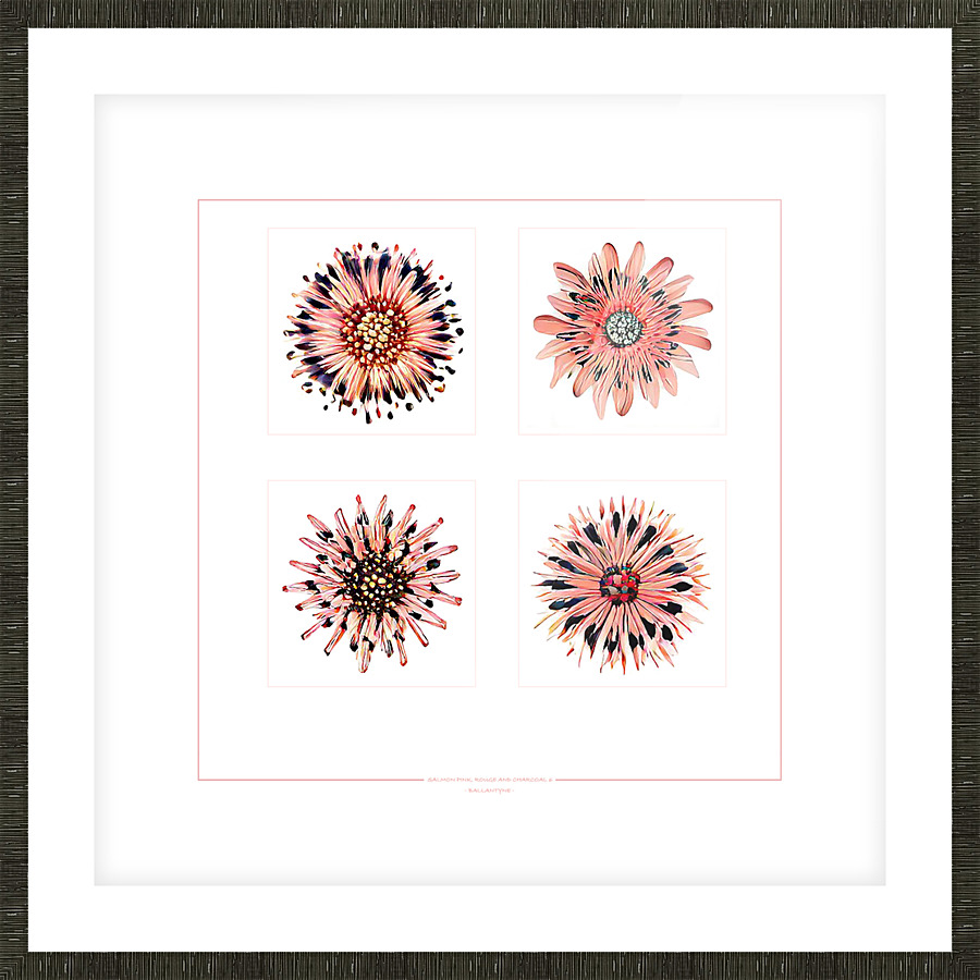 Starburst 2x2   Salmon Rouge and Charcoal 6 Picture Frame print