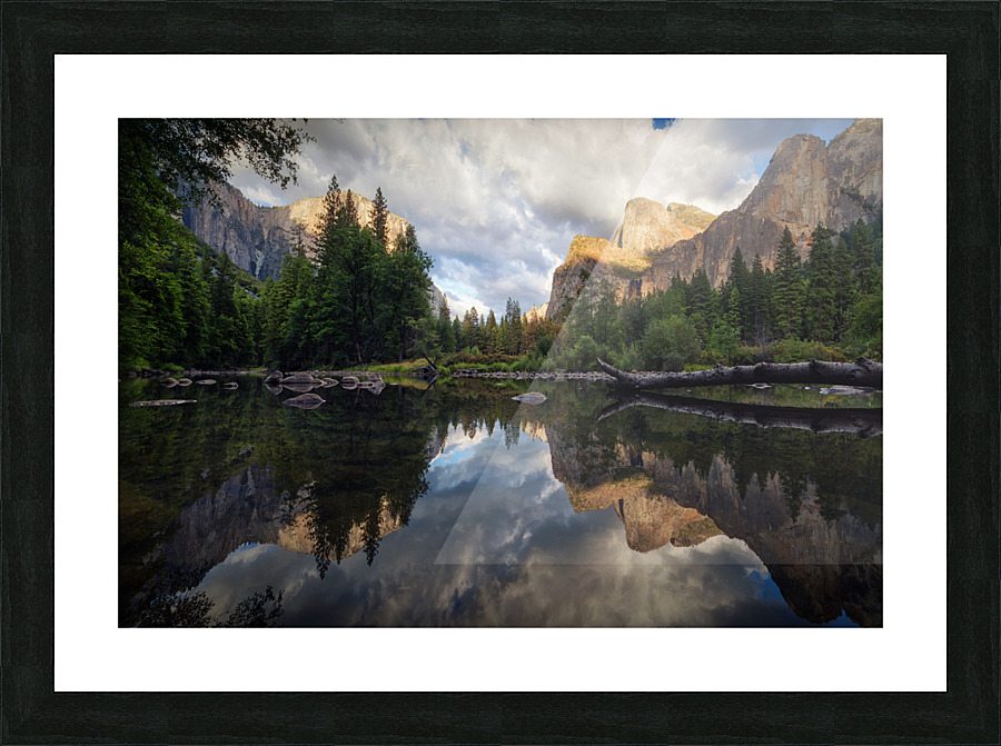 1242566 Picture Frame print