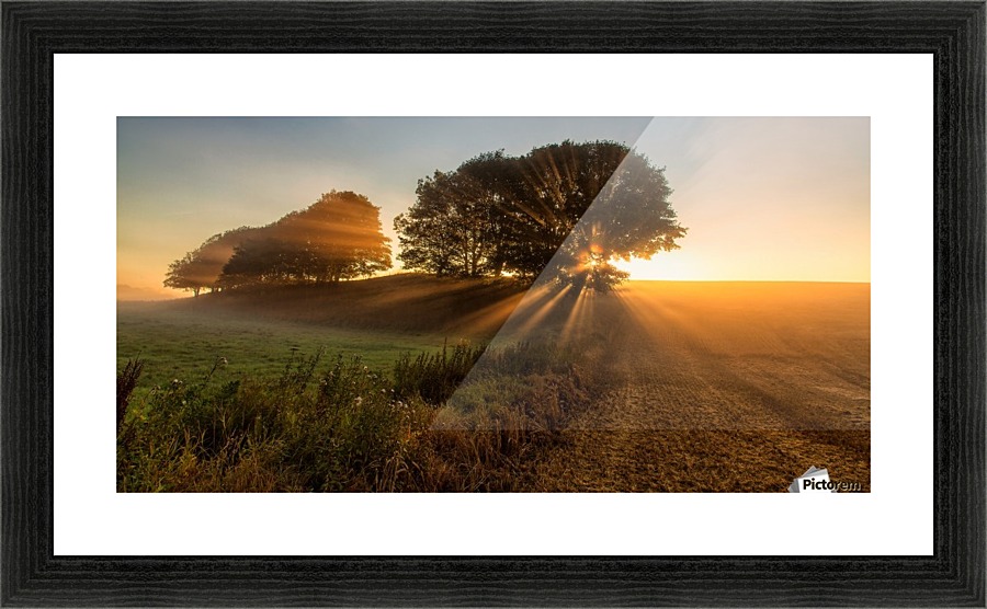 Sunbeams Picture Frame print