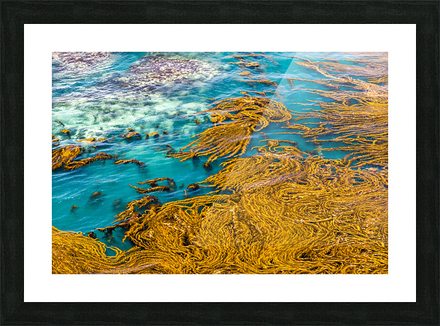 Sea Painting Picture Frame print