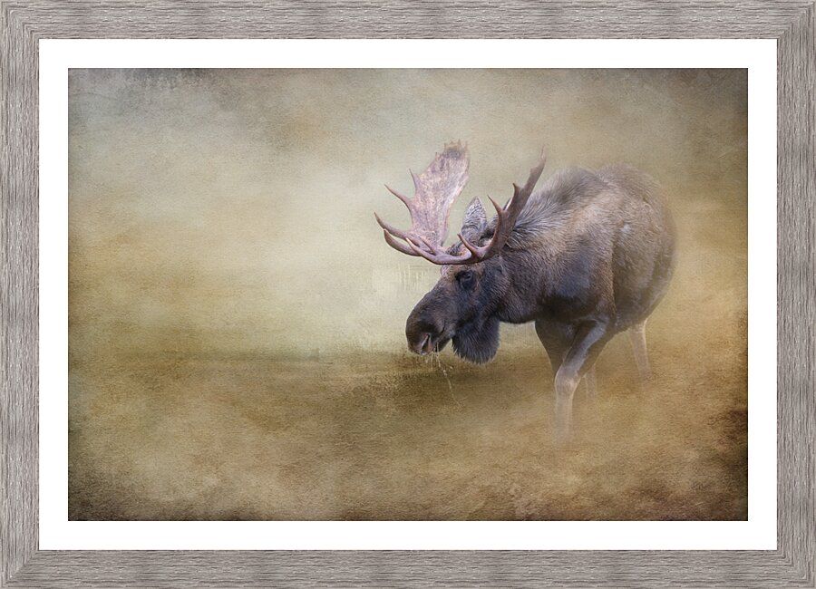 Full_Rack Picture Frame print