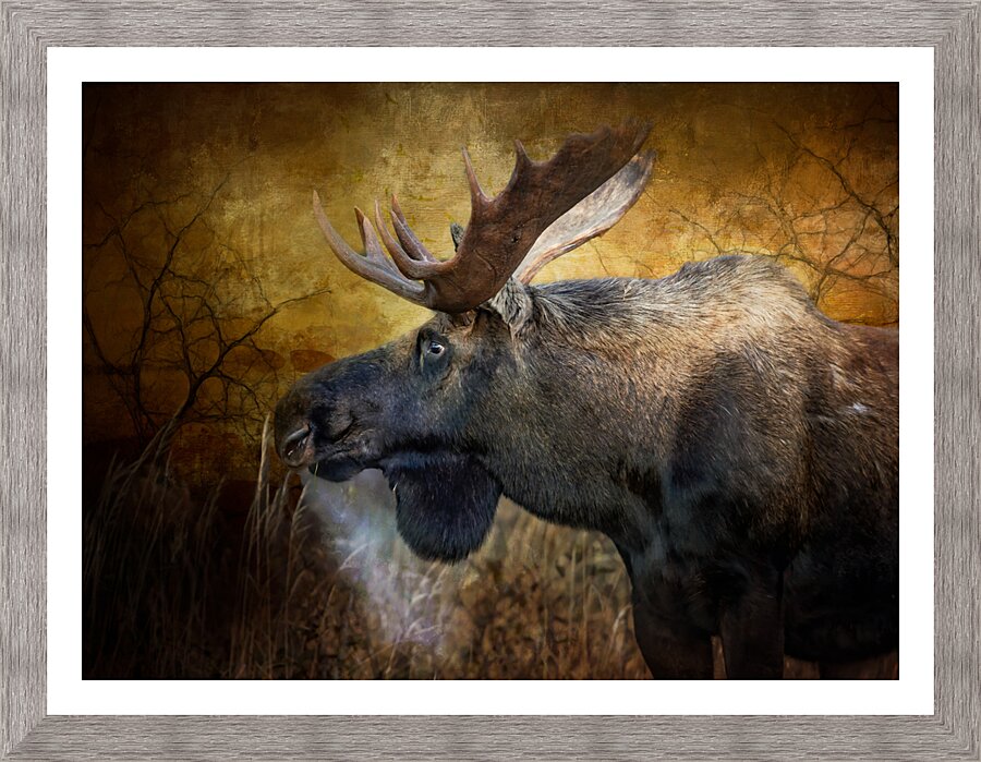Breath_Taking  Framed Print Print