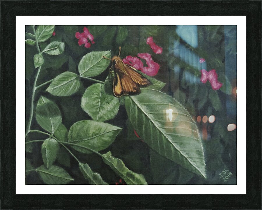 zabulon skipper  Framed Print Print