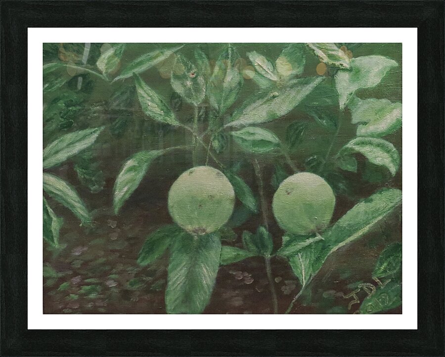 Apples Picture Frame print