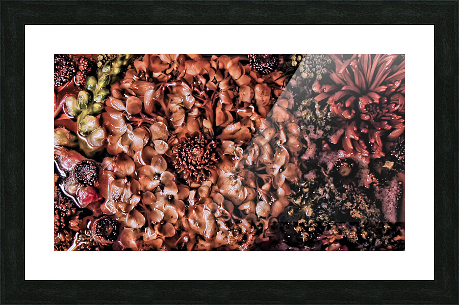 Thawed Picture Frame print