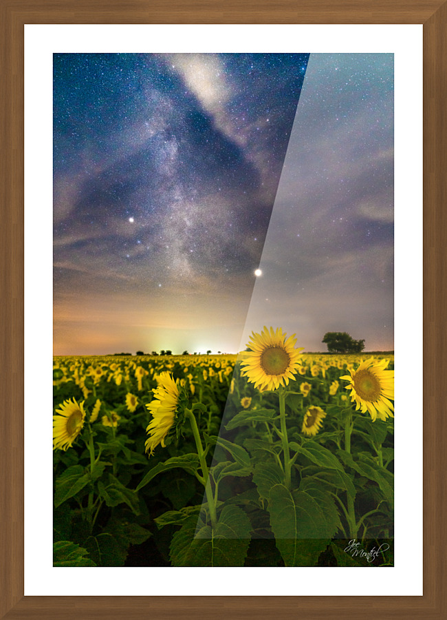 Sunflower Milky Way Stars Picture Frame print