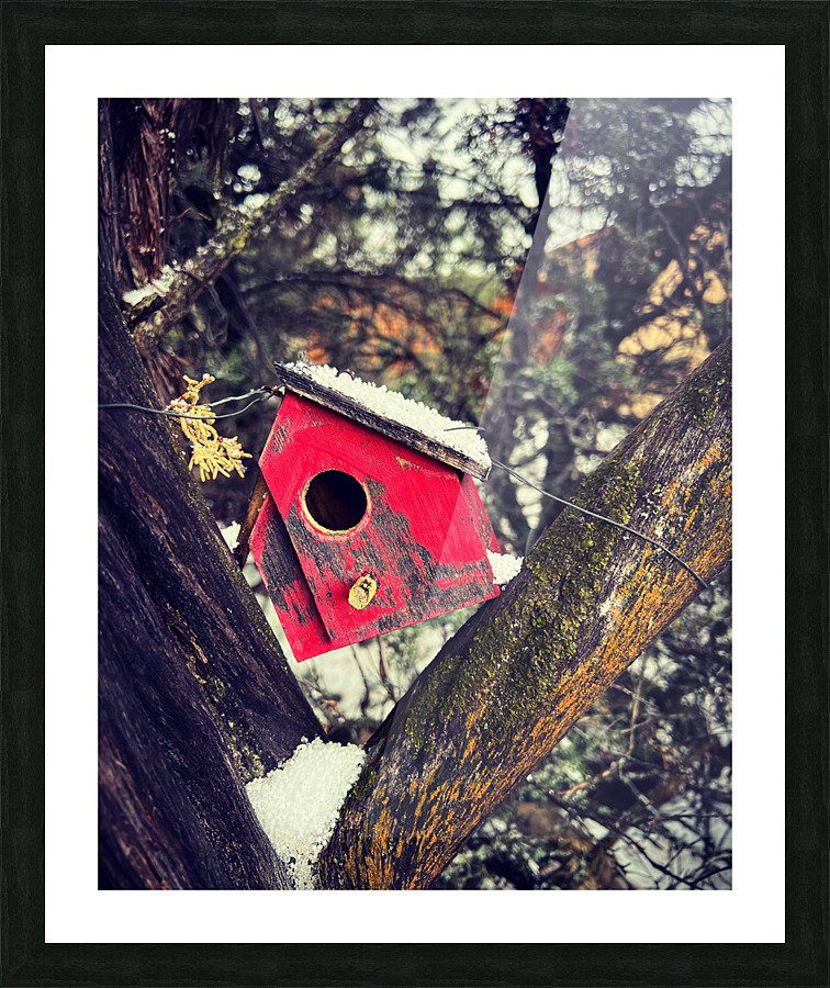 Little red house in the trees Picture Frame print