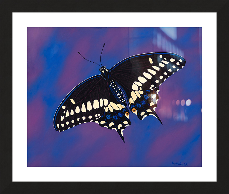 Freedom Picture Frame print
