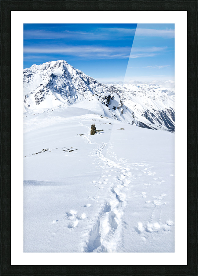  Fine Art print