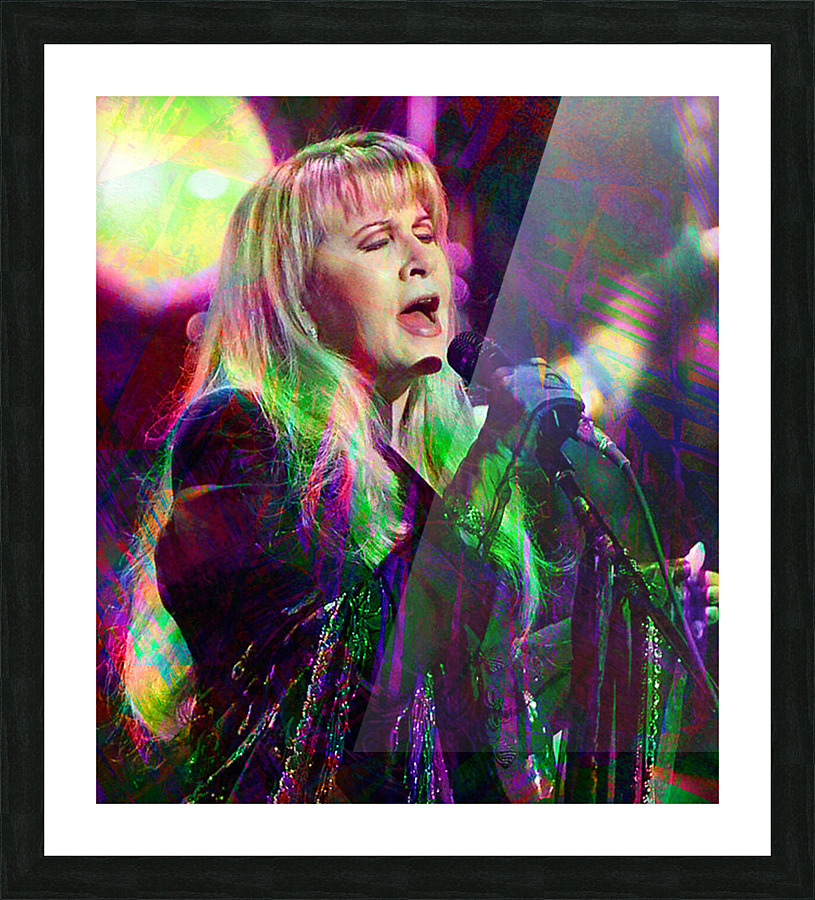 Stevie Nicks Picture Frame print
