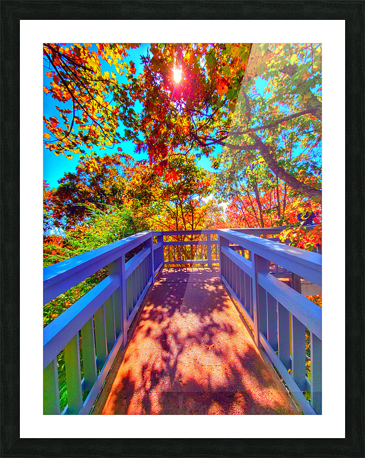 image 5 Picture Frame print