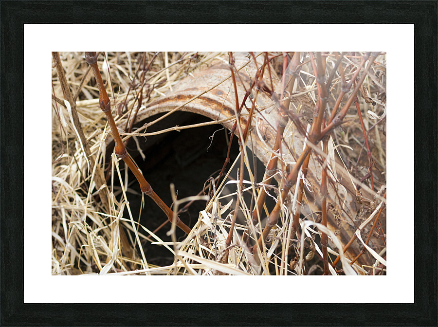 000007 Picture Frame print