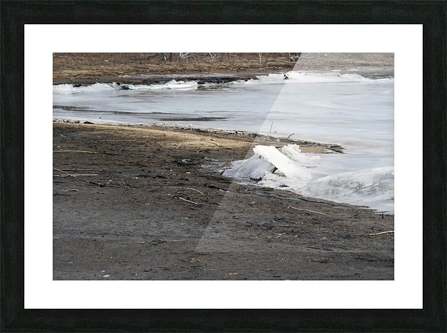 000006 Picture Frame print