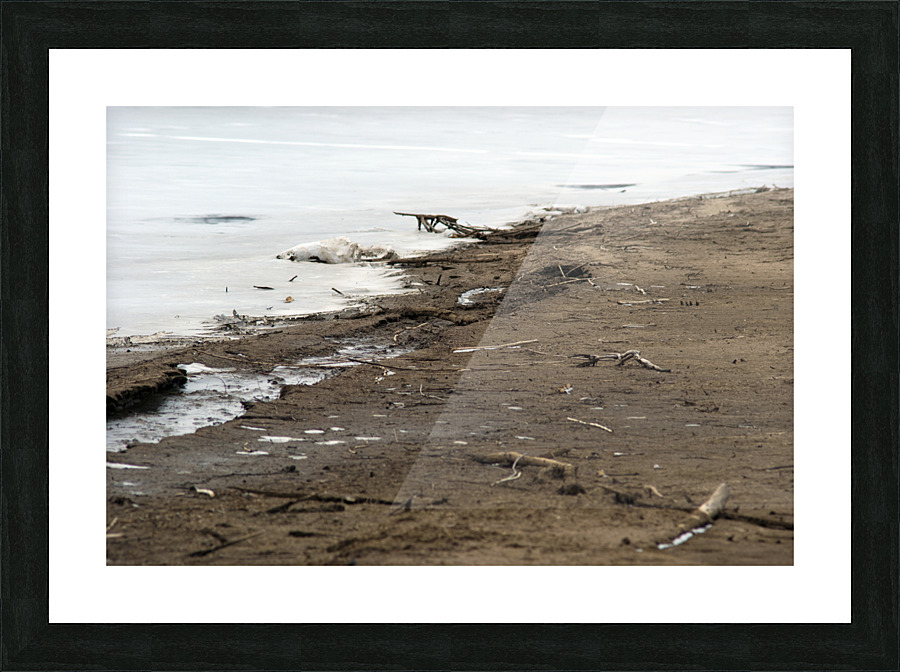 000005 Picture Frame print