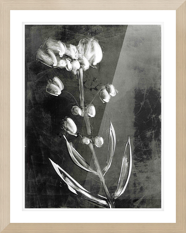 BLACKWHITEFLOWER Picture Frame print