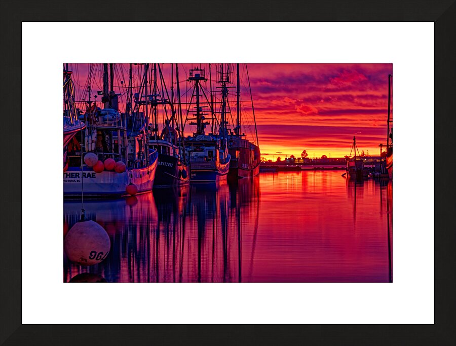 Sunrise At Comox Marina 5  Framed Print Print