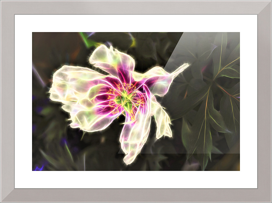 3518 Picture Frame print