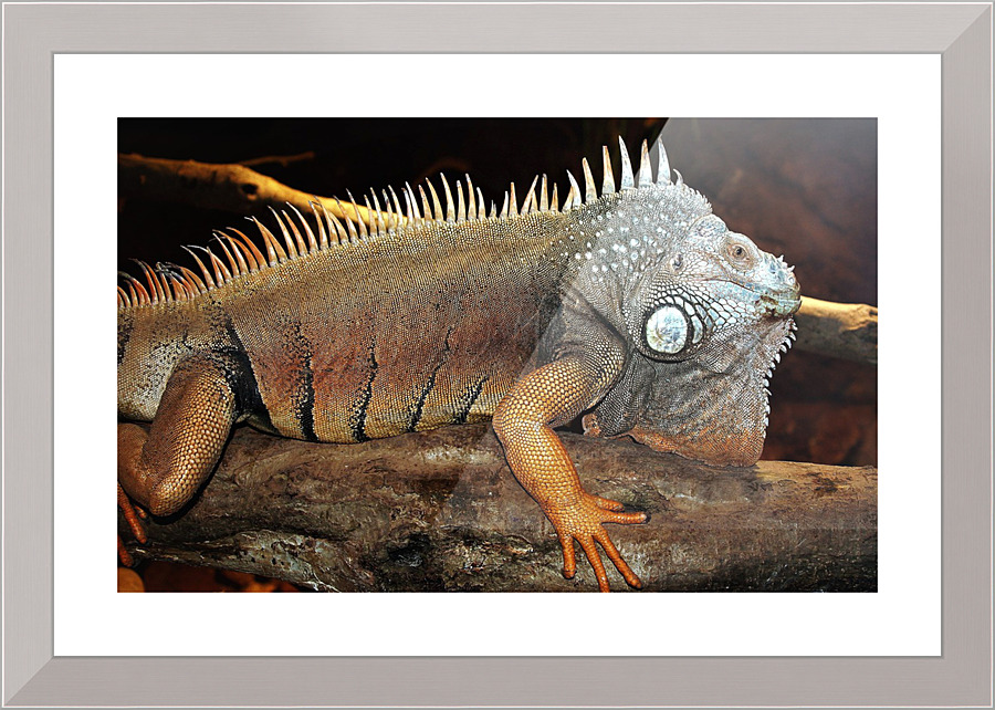 3525 Picture Frame print