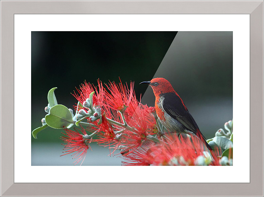 3631 Picture Frame print