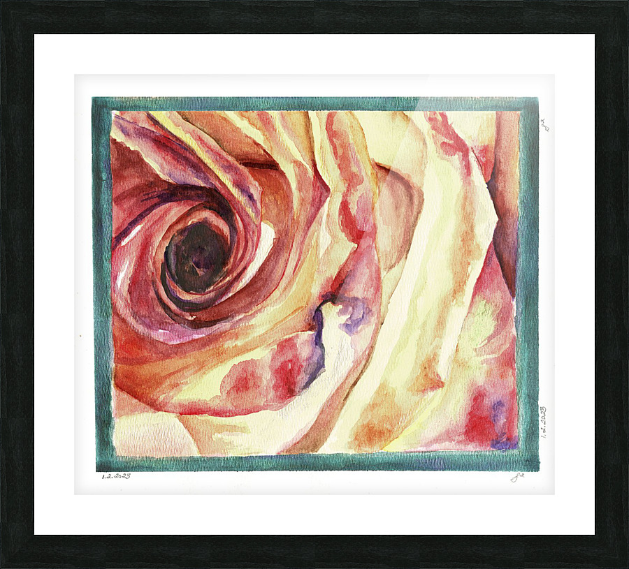 Deep Dive Rose Bloom Picture Frame print