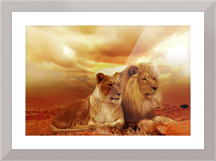 3739 Picture Frame print