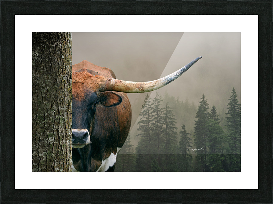  Fine Art print