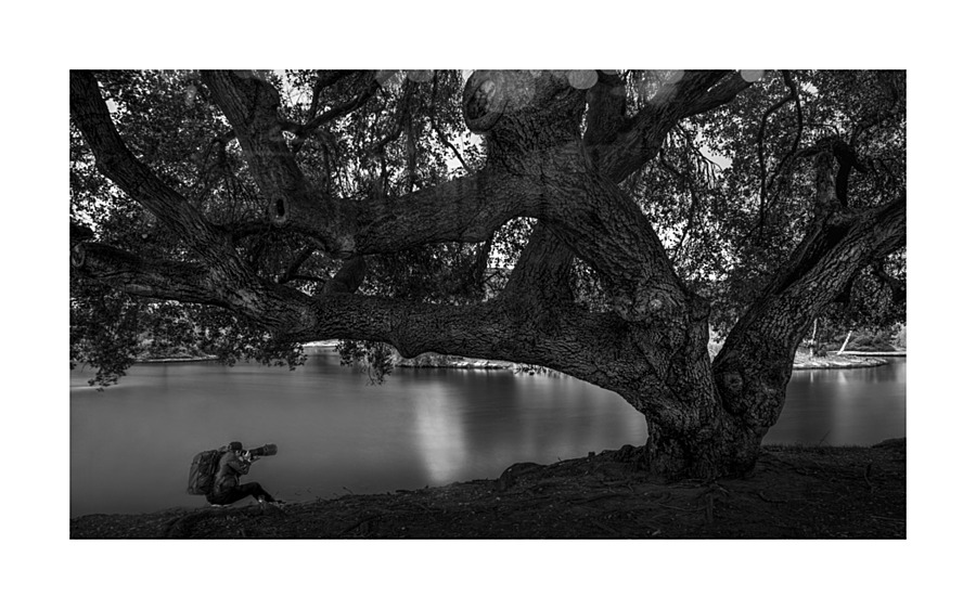 DJ 08142 Picture Frame print