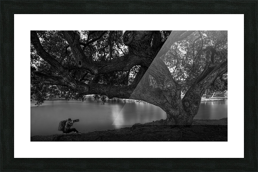 DJ 08580 Picture Frame print