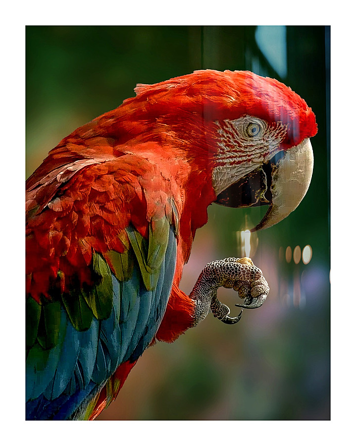 F86E1361 5A23 4A0F 9C78 4DABEE3AD4EA Picture Frame print