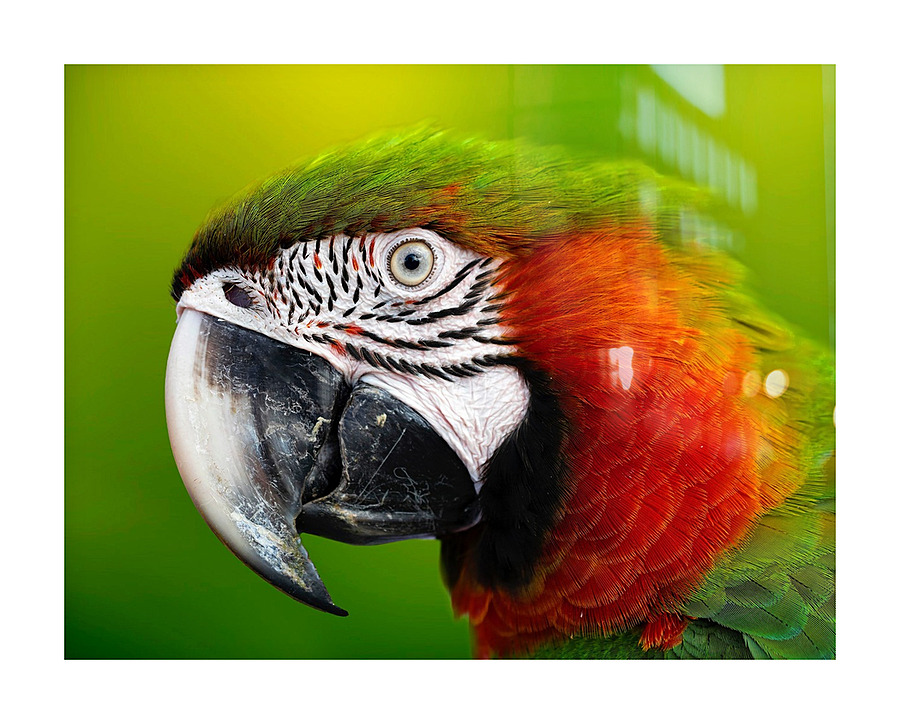 7F95D3C0 81A8 4645 9E33 E8E0E041A368 Picture Frame print