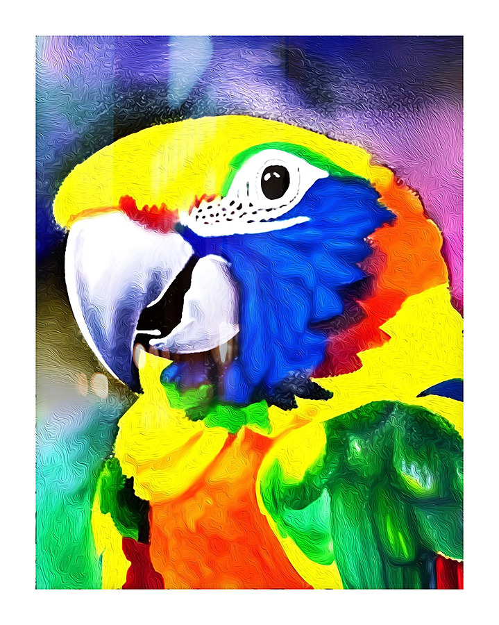 637850EA 15A8 49A3 A023 86AE5C5666BF Picture Frame print