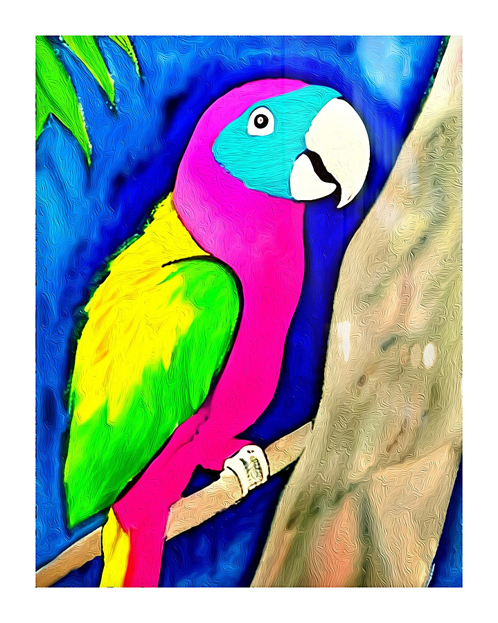 B3A83383 D1CD 43B7 BB7C 5A5D1BDDCC7C Picture Frame print