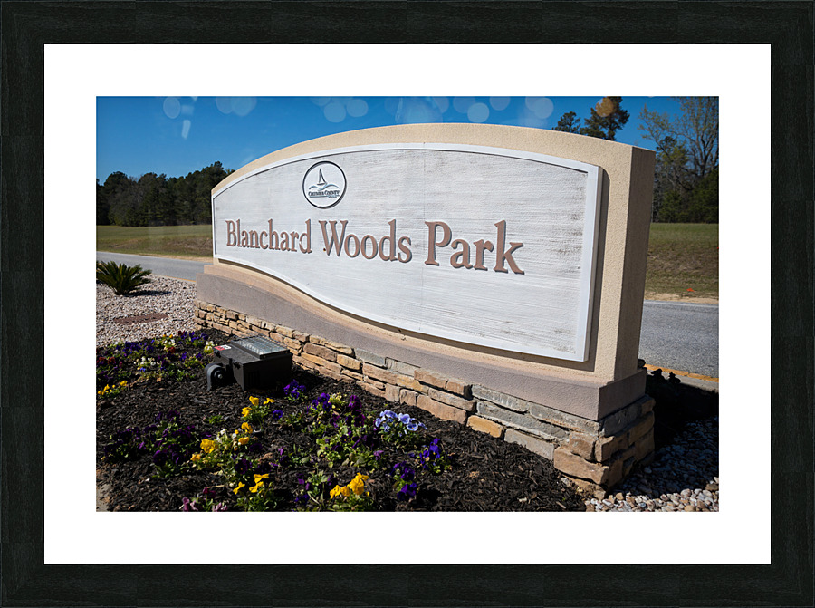 Blanchard Woods Park   Evans GA 9479 Picture Frame print