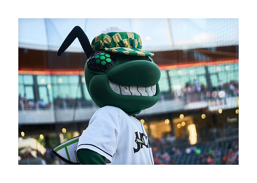 Auggie Mascot for the Augusta GreenJackets   Nort 1675611046.3064 Picture Frame print