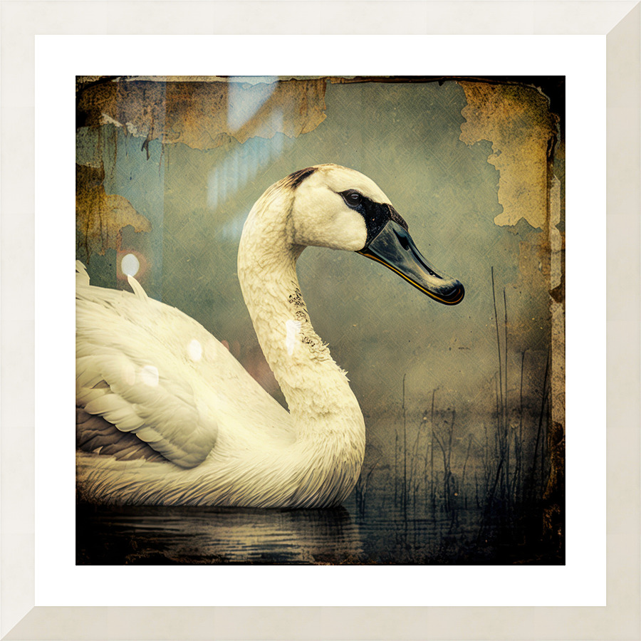 邦楽 ART-SCHOOL/SWAN SONG(DISC2) Amazon.co.jp: SWAN SONG: ミュージック