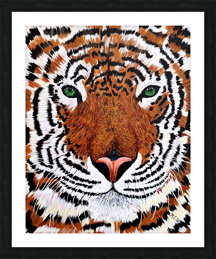Bengal Beauty  Framed Print Print