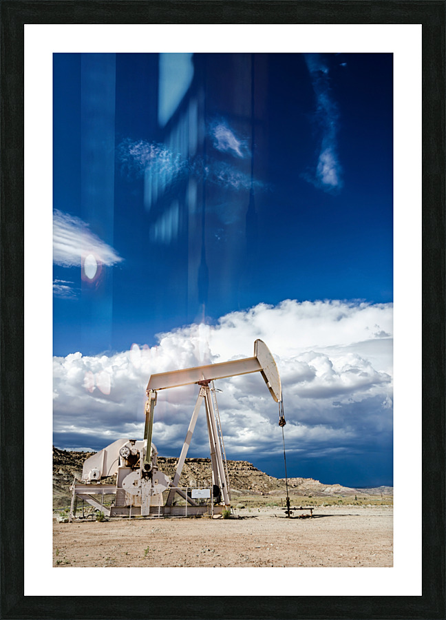 Fossil Picture Frame print