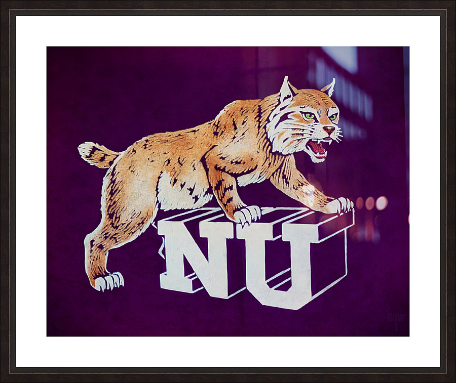 vintage northwestern wildcat nu art  Picture Frame print
