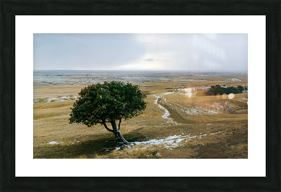 Entering The Badlands Picture Frame print