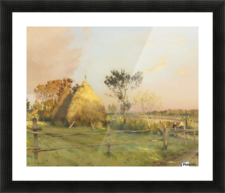 Summer morning on a field Picture Frame print