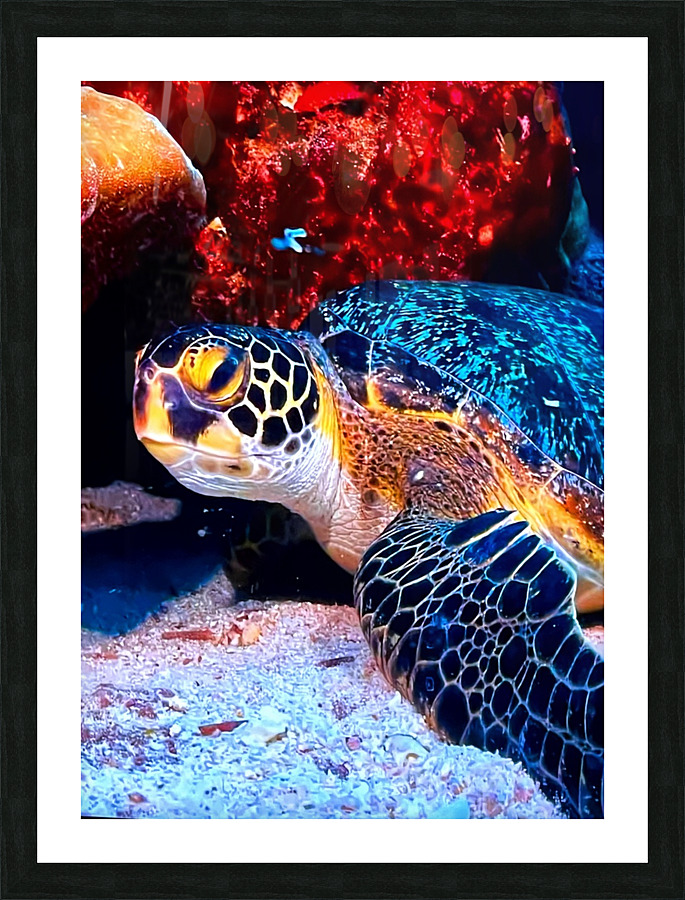 950121BA C5F5 4410 8FFC 79B59F184A2F Picture Frame print