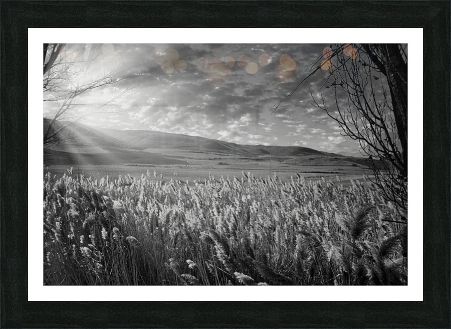 Morning Countryside Andalucia Spain Picture Frame print