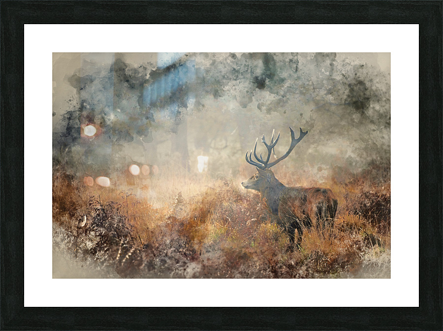  Fine Art print