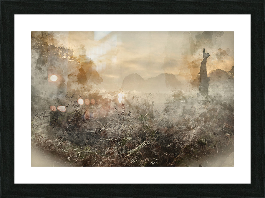  Fine Art print