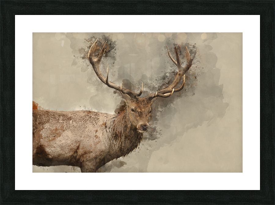  Fine Art print