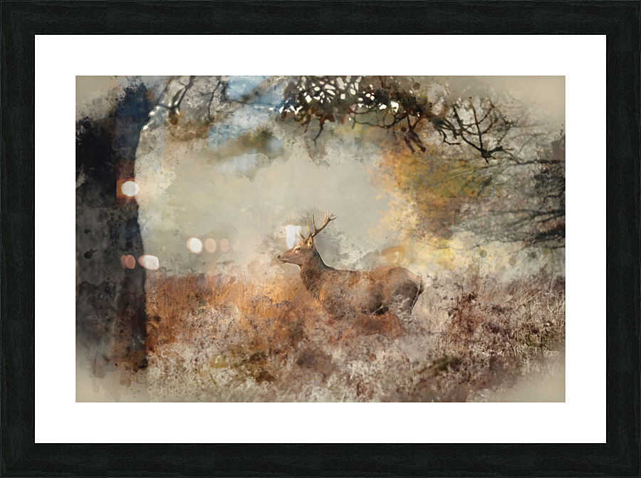  Fine Art print