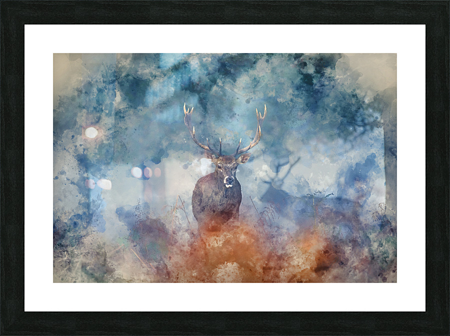  Fine Art print