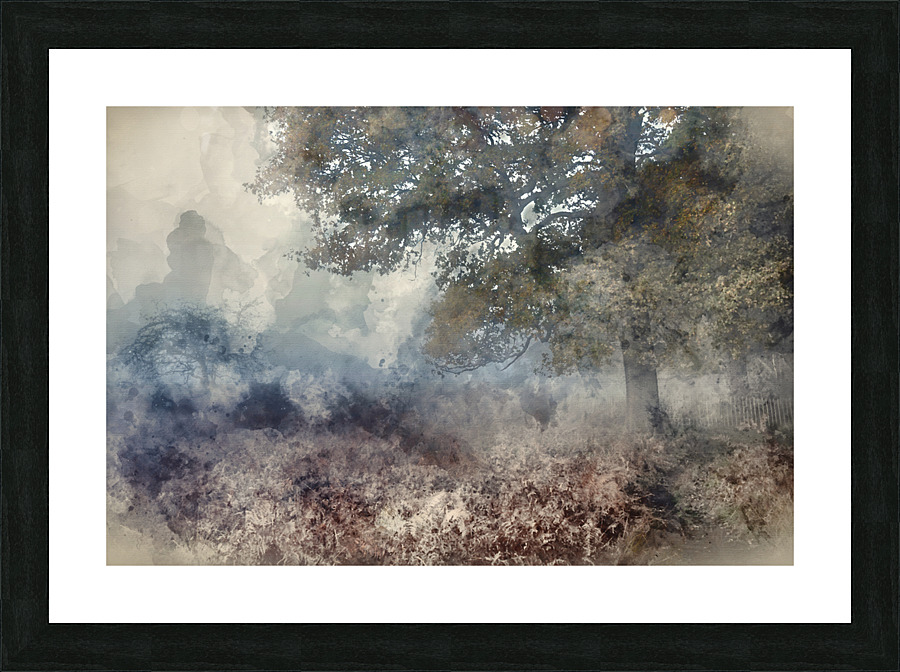  Fine Art print